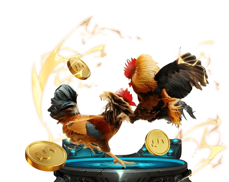 Điều kiện và điều khoản khuyến mãi Xin88 2755